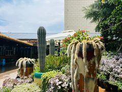 -山菌美食苑(振兴路店)