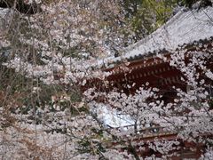 -醍醐寺