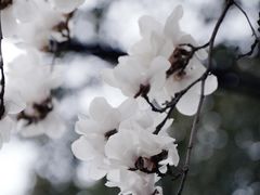 -上海方塔园