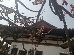 -西安青龙寺遗址景区