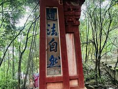 -老君山