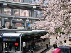 -南浦大桥长途旅游客运站