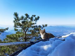 -九华山风景区