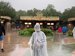 -奥兰多迪士尼动物王国乐园