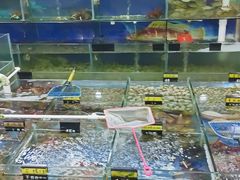 水产区-明记海鲜大排档(巽寮湾店)