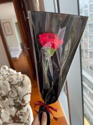 -恒熙玥月子会所