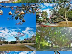 -风云岭森林公园