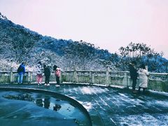 -四川农业大学(雅安校区)