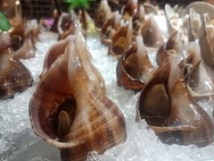 大海螺-宝德国际酒店-马蹄莲自助餐厅