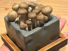 -匠和风精致料理(春熙路群光广场店)