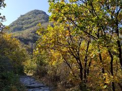 -阳台山自然风景区