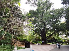 -晓港公园