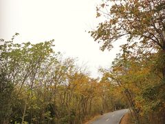 -南京金牛湖风景区