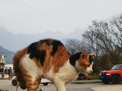 -鸿运楼·舌尖上的徽菜