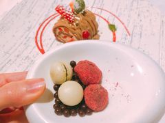 -蝶舍·MAISON PAPILLON