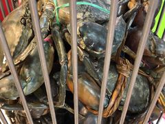 -纽顿熟食中心