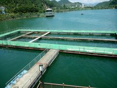 -千岛湖品鱼馆(钓鱼岛店)