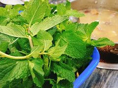 -鸽鸟轩(石岐店)