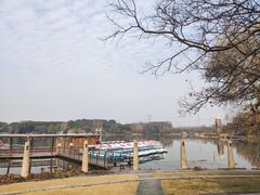 -昆山城市生态森林公园