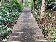 -野萃山·潮汕厚果汁(十亩地店)