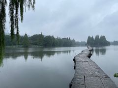 -鲁镇