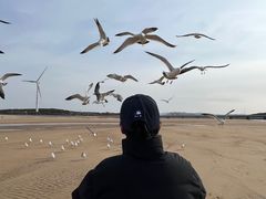 -那香海钻石沙滩浴场