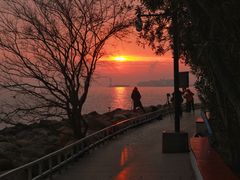 -上海吴淞炮台湾国家湿地公园
