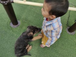 -萌宠亲子动物乐园(槐房万达店)