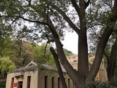 -延安杨家岭革命旧址