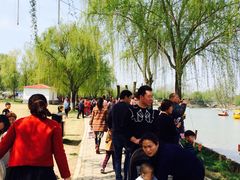 -祥源·阜阳生态乐园