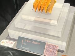 -温州博物馆