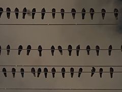 -万达广场(太原街店)