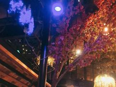 -村理·乡村菜音乐餐厅(河西店)