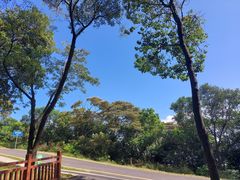 -黄埔油麻山森林公园