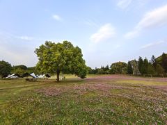 -福建鲤鱼洲酒店