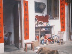 -烟雨江南徽菜