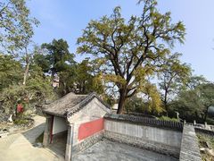 -龙泉寺