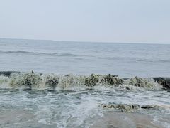 -金梦海湾浴场