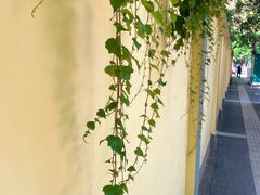 -颐和路民国时期公馆风貌区