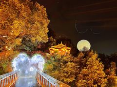 -巴倒烫陆派火锅山庄(南山总店)