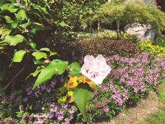 -浙江西子宾馆·瑶园咖啡厅