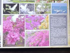 -铁路文化公园