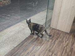 -甜心(广厦街店)