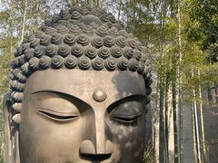 -杭州植物园