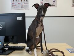 -萌兽医馆·眼科·异宠专科(三里屯店)
