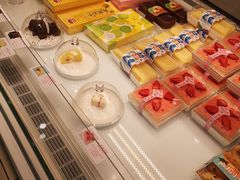-蒲公英(五里店)