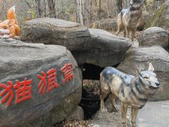 -茅兰沟国家森林公园