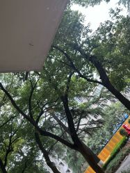 -南京医科大学友谊整形外科医院