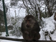 -峨眉山风景名胜区