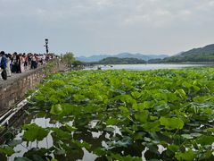 -浙江省博物馆(孤山馆区)